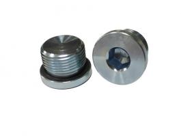 不鏽鋼內六角（jiǎo）堵頭